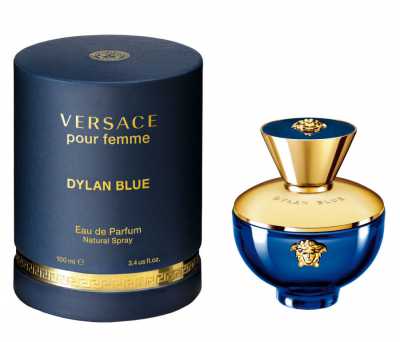 Вы можете заказать VERSACE Dylan Blue Pour Femme без предоплат прямо сейчас
